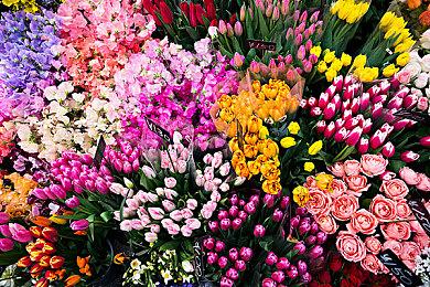 《漫威蜘蛛侠2》发售日期以及预购信息即将公布